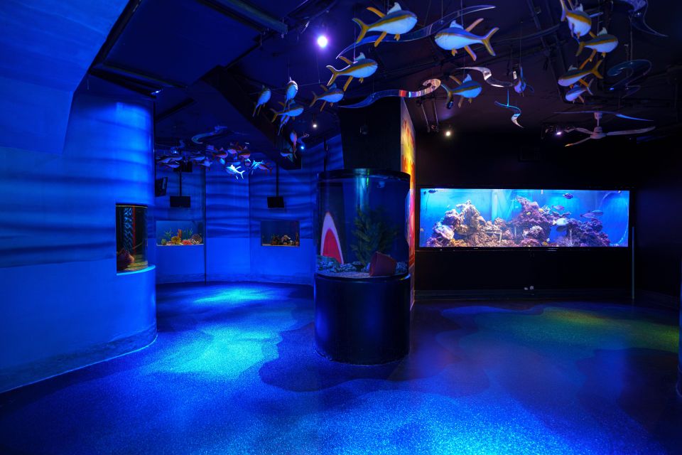 Mexico City: Inbursa Aquarium Ticket With VR Option - Additional Information