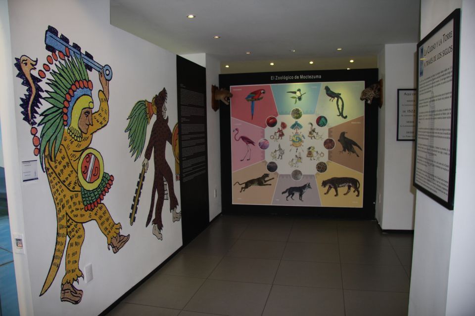 Mexico City: Latin American Tower and Bicentennial Museum - Ratings and Reviews