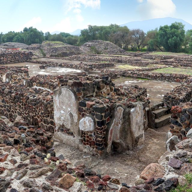 Mexico City: Private Tour Teotihuacan & Guadalupe Basilica - Meeting Instructions