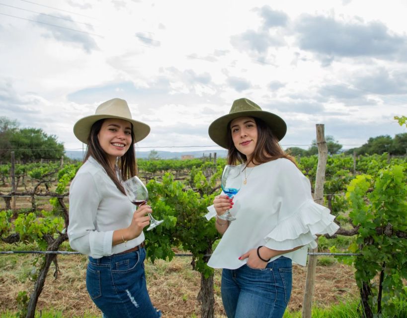 Mexico City Private Wine Tour: Hidden Valley Vineyards - Tour Duration and Itinerary