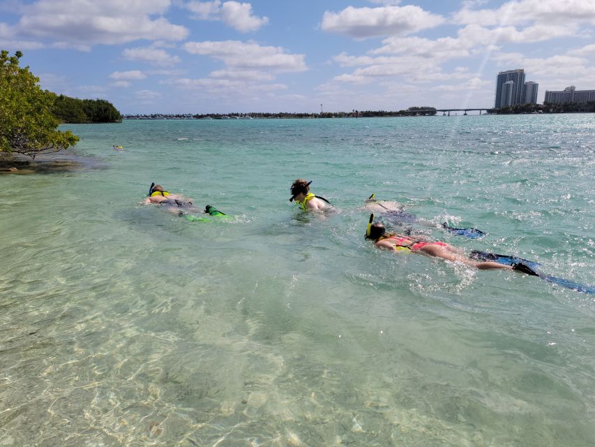 Miami: Island Snorkeling by XXL Stand Up Paddle Board - Customer Feedback