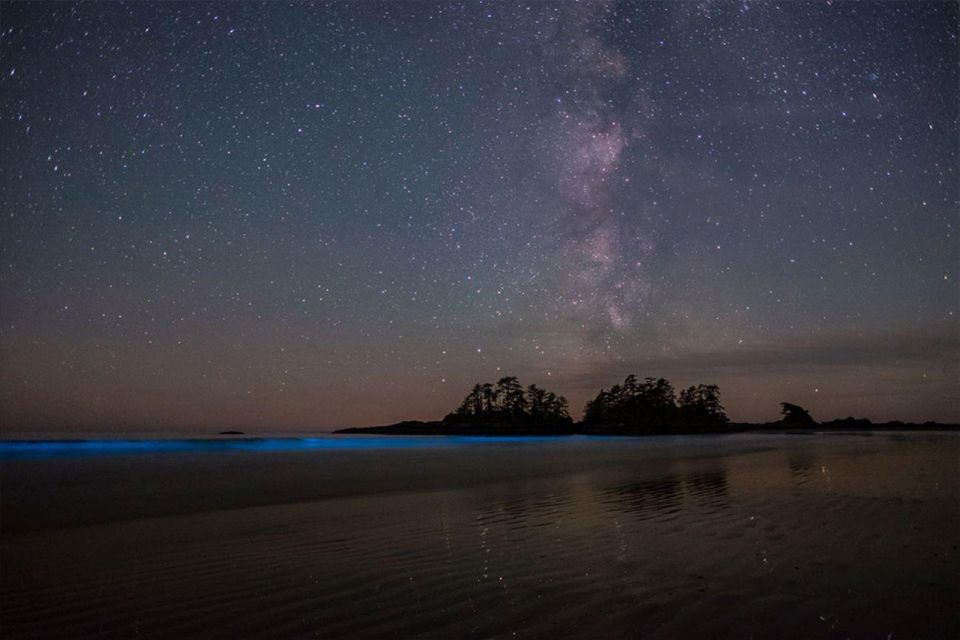 Midnight Holbox: Bioluminescence Kayaking Experience - Sandbank Experience