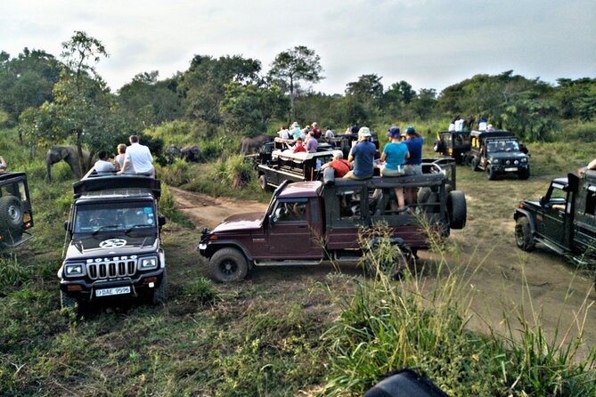 Minneriya / Kaudulla National Park Jeep Safari - Inclusivity and Accessibility for All