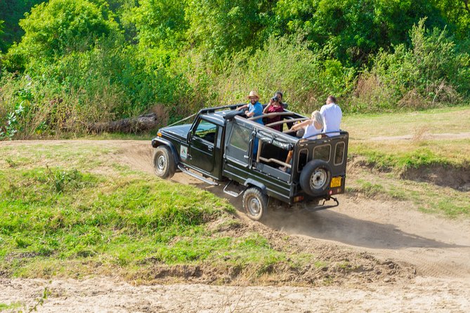 Minneriya National Park Private Safari - Safari Experience Options