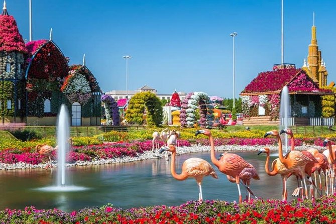 Miracle Garden Dubai Including Pickup & Drop Off - Booking Terms