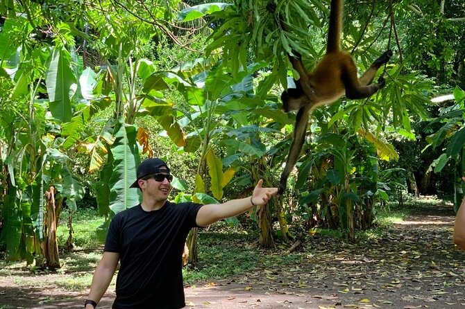 Monkey Sanctuary Reserve Kayaking at Bahía De Jiquilisco Lunch Included - Tour Pricing and Reviews