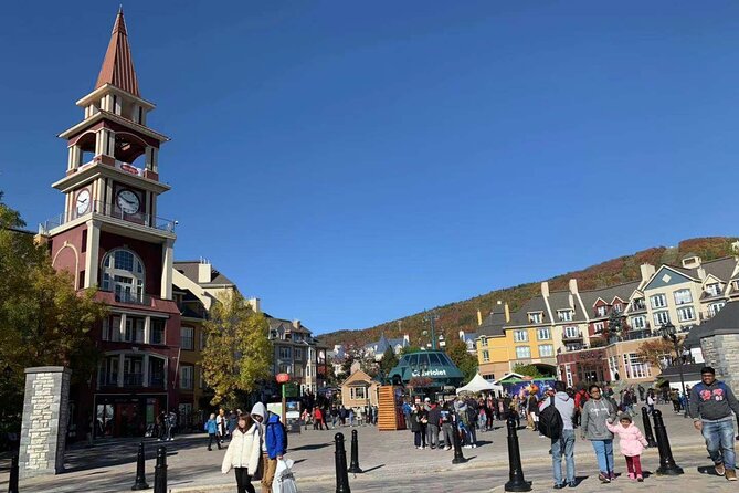 Mont-Tremblant 1 Day Tour - Reviews and Feedback
