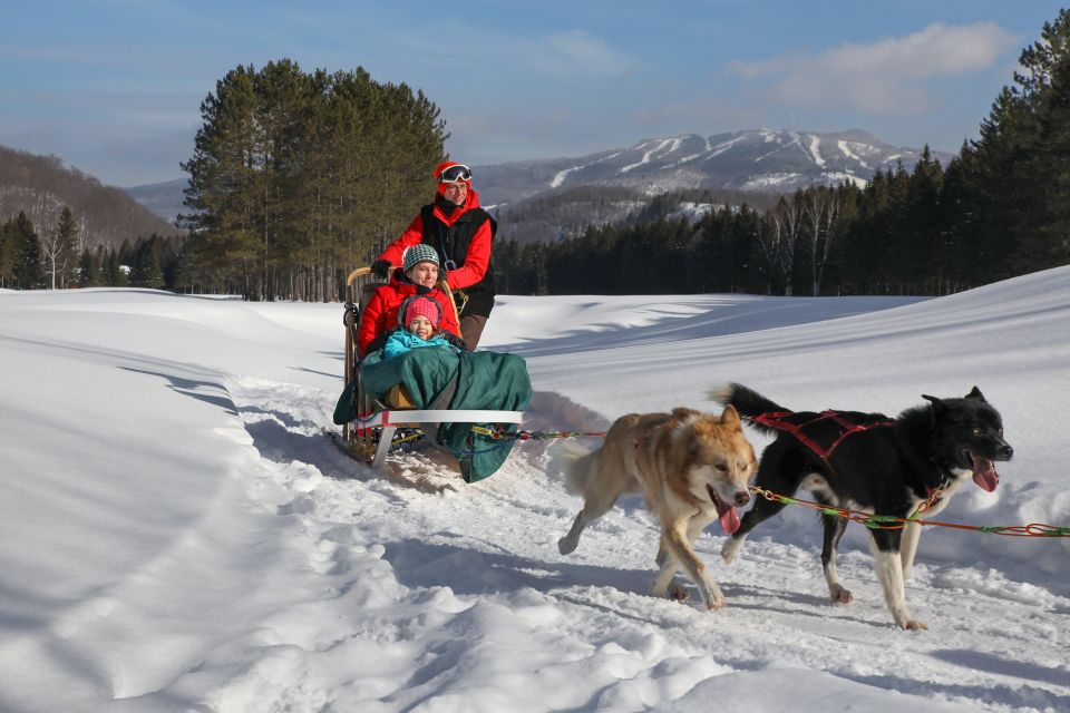 Mont-Tremblant: Dogsledding Experience - Directions