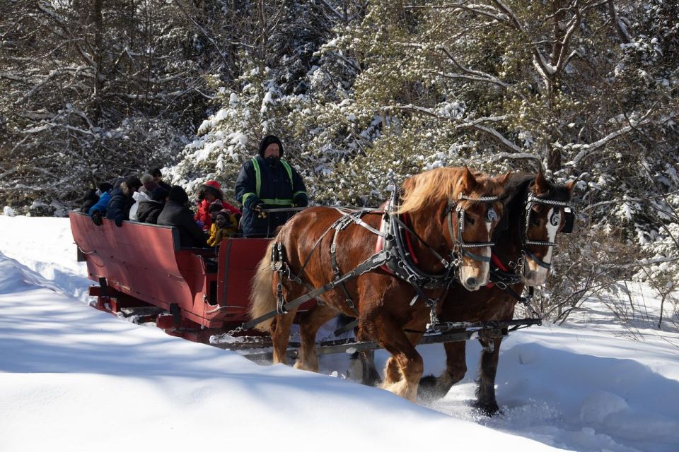 Mont-Tremblant: Sleigh Ride W/ Storytelling & Hot Chocolate - Pricing & Cancellation Policy