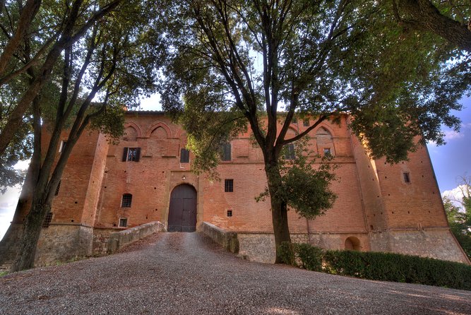Montalcino Castle and Vineyards Tour With Tasting - Reviews and Feedback