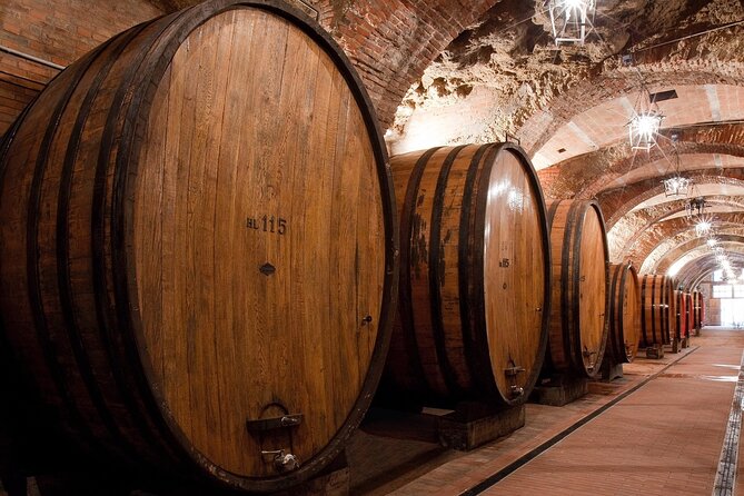 Montepulciano: Winery Tour & Tasting Experience - Expectations and Activities Offered