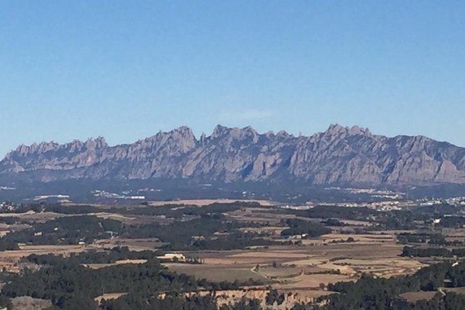 Montserrat & Best Winery Private Tour Experience With a Local Expertise - Final Thoughts