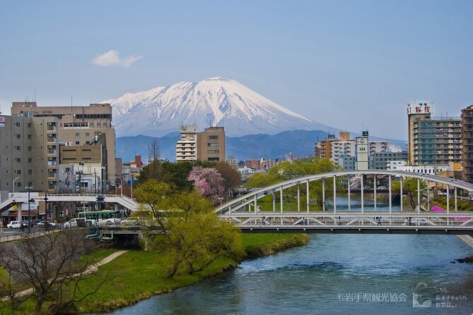 Morioka Town Half Day Walking Shared Tour - Additional Information