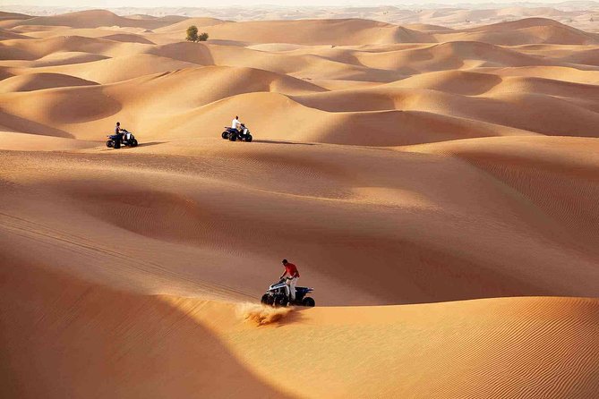 Morning Desert Safari With Quad Bike Tour Abu Dhabi - Positive Experiences