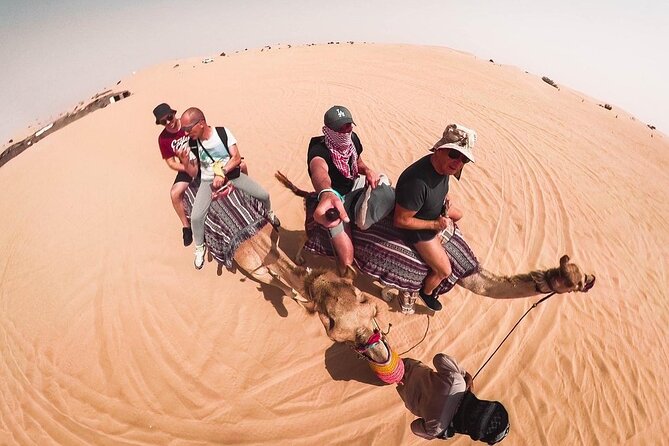 Morning Dune Bashing, Including Camel Riding and Sand Boarding From Dubai - Contact and Support