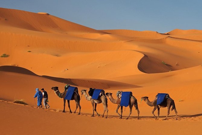 Morocco: 3 Days Desert Tour From Marrakech - Last Words