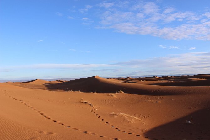 Morocco Desert Trek (8 Days) - Cultural Immersion Experiences