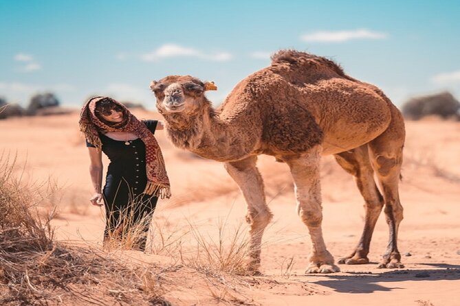 Morocco Desert Trek Dromedary Mhamid Dunes - Local Guides and Culture