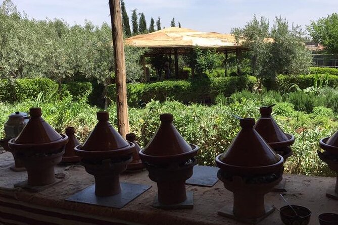 Morocco Vineyard Visit and Gourmet Tours - Customer Reviews
