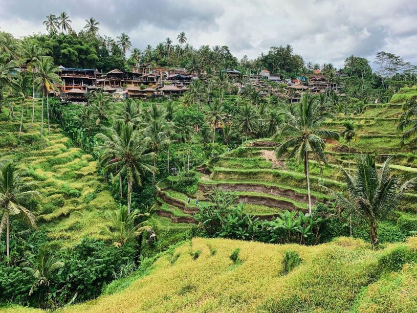 Mount Batur: Sunrise Trek & Ubud's Best Sights Experience - Common questions