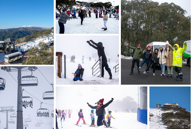 Mount Buller 1 Day Guided Tour - Pricing and Legal Info