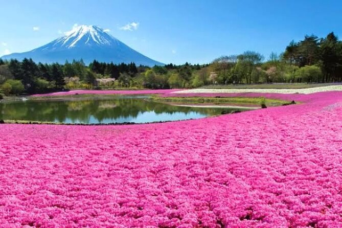 Mount Fuji and Hakone Private Tour With English Speaking Driver - Safety and Guidelines
