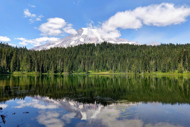 Mount Rainier National Park Luxury Small-Group Day Tour With Lunch - Customer Reviews