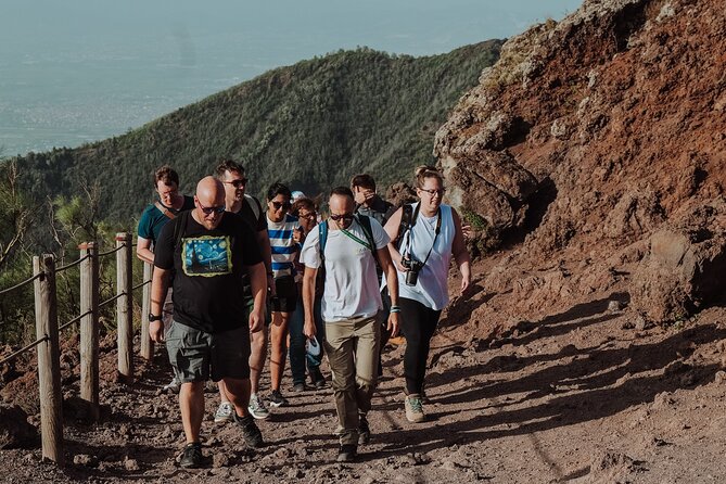 Mount Vesuvius Tour From Pompeii Led by an Hiking Guide - Tour Operations