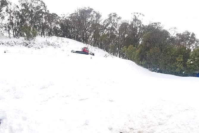 Mt Buller Day Trip From Melbourne - Pricing and Booking