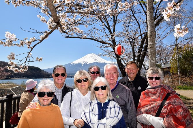 Mt. Fuji & Hakone Day Tour From Tokyo by Car With JP Local Guide - Scenic Drive to Mt. Fuji