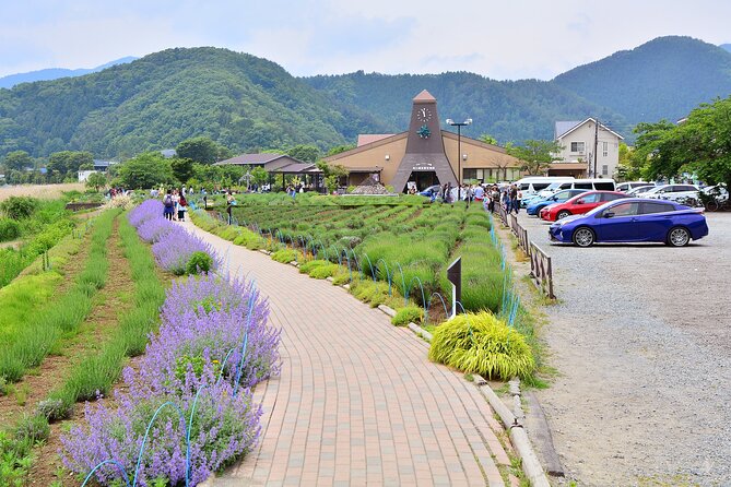 Mt.Fuji Tour: 3-Parks & The Healing Village in Fujiyoshida, Japan - Booking Information