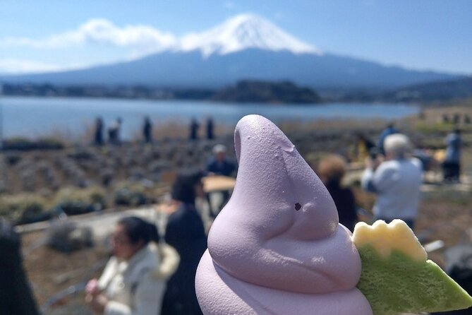 Mt Fuji With Kawaguchiko Lake Day Tour - Customer Support