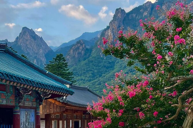 Mt. Seorak & The Tallest Ginko Tree at Yongmunsa - Mt. Seorak Tour Experience Highlights