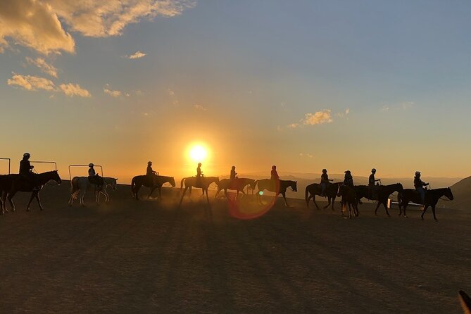 Mulholland Trail Horseback Tour - Last Words