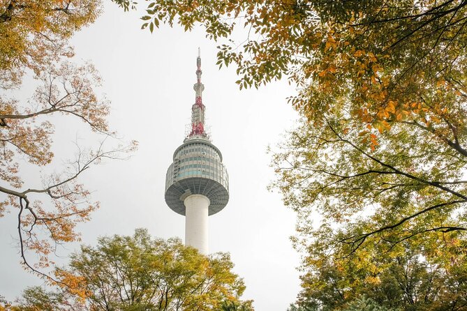 N Seoul Tower Observatory Ticket - Viator Review Platform Insights