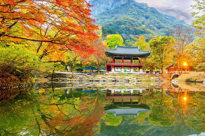 Naejangsan National Park Autumn Foliage Tour From Busan - Common questions