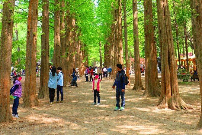 Nami Island and Petite France {Private Day Tour} - Cancellation Policy Details