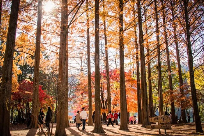 Nami Island Petit France Bus Tour - Booking and Voucher Information