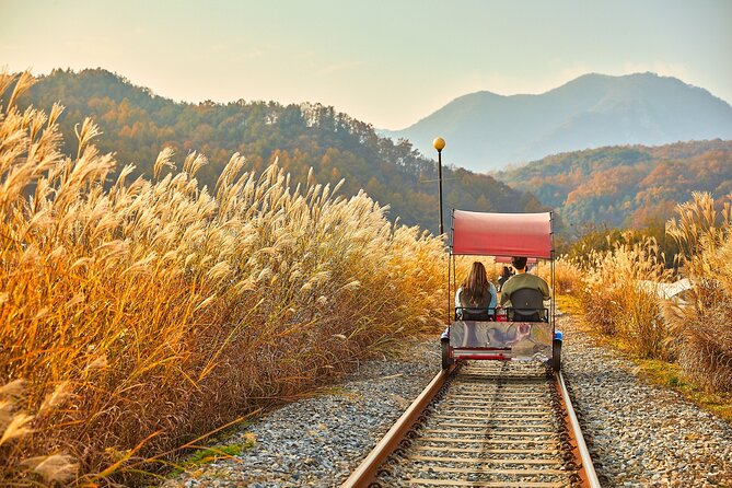 Nami Island & Petite France & Italian Village & Gangchon Rail Bike One-Day Tour - Traveler Reviews and Ratings