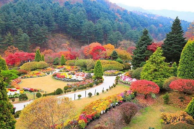 Nami Island With Garden of Morning Calm Trip - Travel Tips