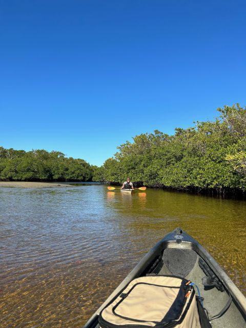 Naples, FL: Manatees, Grasslands and Mangroves Kayak Tour - Intimate Small Group Expeditions
