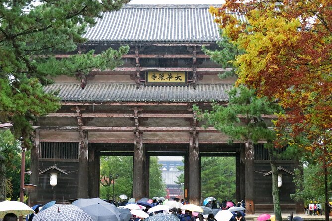 Nara World Heritage Todaiji Visit and Naramachi Tour - Weather Considerations