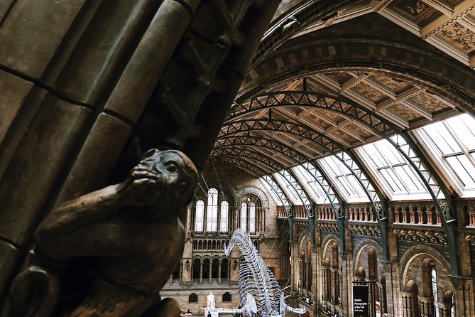 Natural History Museum London - Private Guided Museum Tour - Reviews and Traveler Feedback