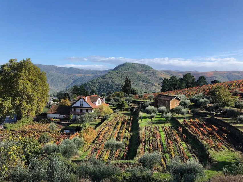 Natural Organic Wine Tastings / Farm Visit in Douro Valley - Directions