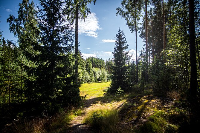 Nature Singing in Forest Studio Mustikkarinne - Last Words