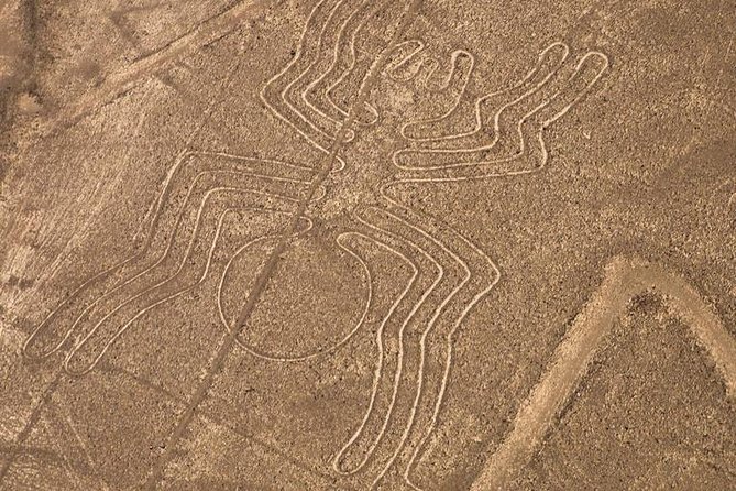 Nazca Lines From Nazca Airport - Cancellation Policy Details