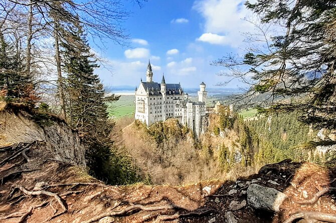 Neuschwanstein Castle and Highline 179 Private Tour  - Munich - Cancellation Policy and Reviews