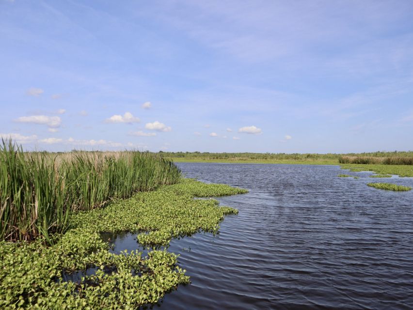 New Orleans: 10 Passenger Airboat Swamp Tour - Safety and Logistics