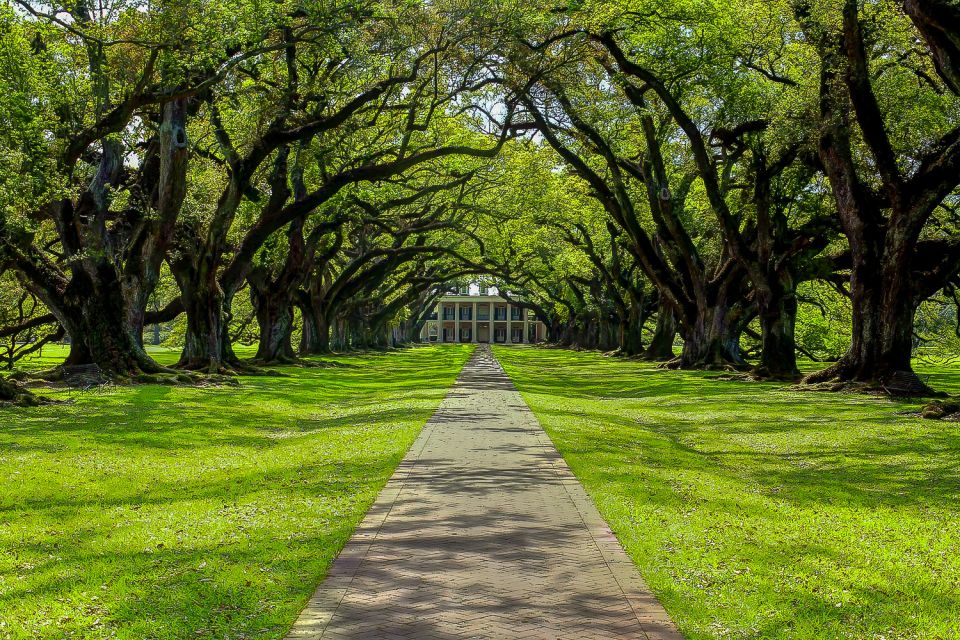 New Orleans: Oak Alley Plantation & Swamp Cruise Day Trip - Review Summary