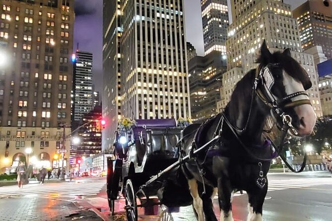 New York City Christmas Lights Private Horse Carriage Ride - Pricing and Booking Information